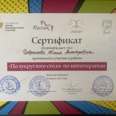 Учеба по иппотерапии в Нижнем Новгороде