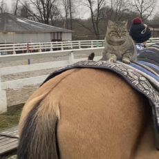 Подари шанс быть счастливым