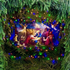 Подари шанс быть счастливым