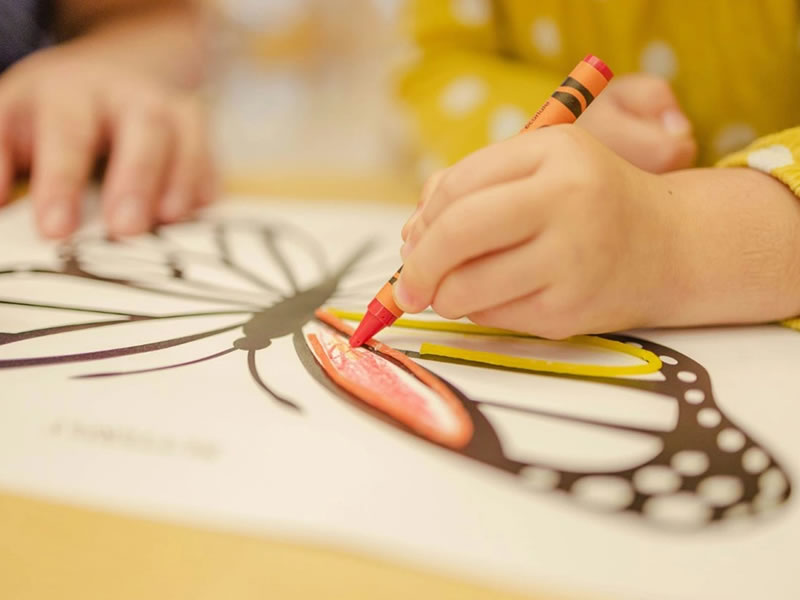 БФ «Всадники Надежды»приглашает родителей детей с ОВЗ