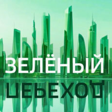 Подари шанс быть счастливым